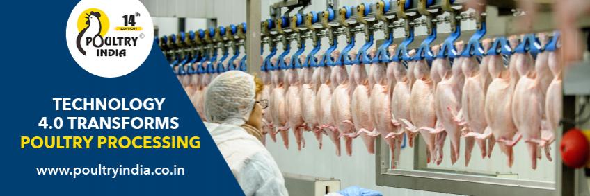 Technology 4.0 transforms poultry processing