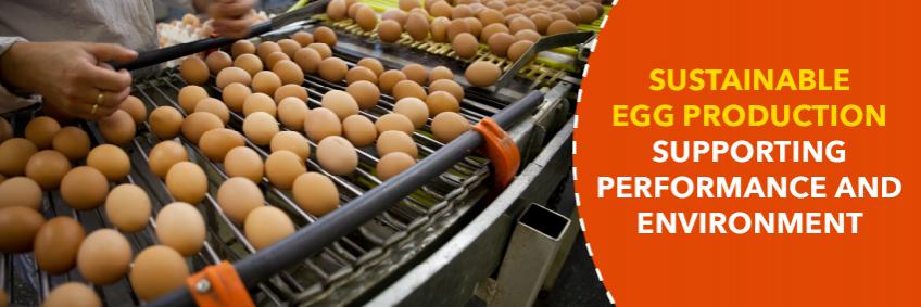 Sustainable egg production supporting performance and environment