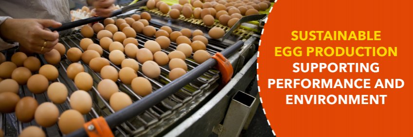 Sustainable egg production supporting performance and environment Sustainable egg production supporting performance and environment