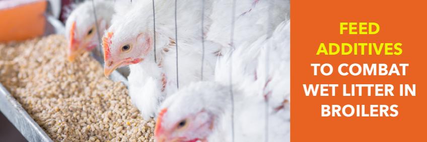 Feed additives to combat wet litter in broilers