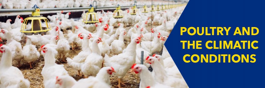 Poultry and the climatic conditions Poultry and the climatic conditions