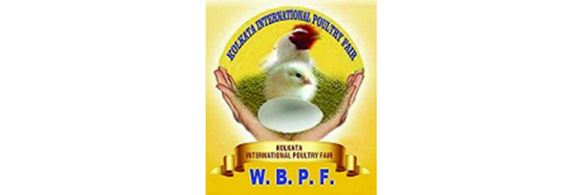 IPEMA Participates in the 11th Kolkata International Poultry Fair 2025 IPEMA Participates in the 11th Kolkata International Poultry Fair 2025