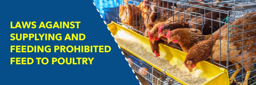 Laws against supplying and feeding prohibited feed to poultry