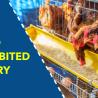 Laws against supplying and feeding prohibited feed to poultry