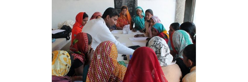 In fine feather: Recycled poultry waste rivals’ pashmina