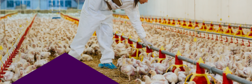 Revolutionizing Poultry Farming: Key Takeaways from Knowledge Day at Poultry India Expo 2024