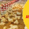 What Are The Mistakes To Avoid In Poultry Farming?