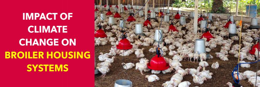 Impact of climate change on broiler housing systems