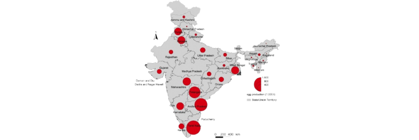 India’s poultry sector - a snapshot