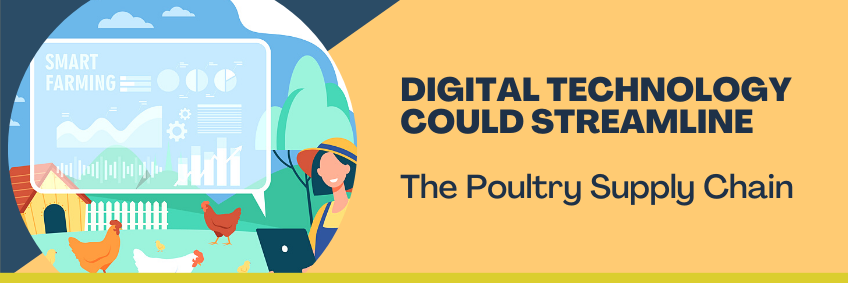 Digital Technology could Streamline the Poultry Supply Chain