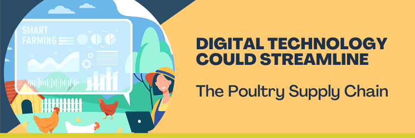 Digital Technology could Streamline the Poultry Supply Chain Digital Technology could Streamline the Poultry Supply Chain