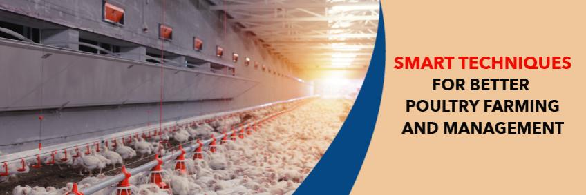 Smart techniques for better Poultry Farming and Management