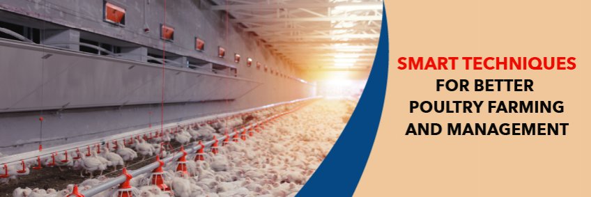 Smart techniques for better Poultry Farming and Management Smart techniques for better Poultry Farming and Management