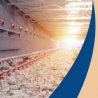 Smart techniques for better Poultry Farming and Management