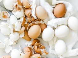 https://www.poultryindia.co.in/media/eggsshells.jpg
