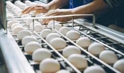 https://www.poultryindia.co.in/media/july-blog-4.jpg