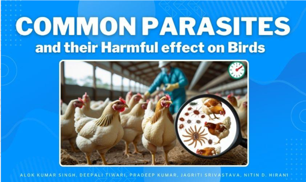https://www.poultryindia.co.in/media/july-farm-finding.png