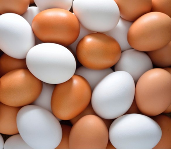 https://www.poultryindia.co.in/media/june-newsletter-new-1.jpg