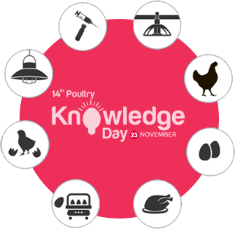 Knowledge Day About Us