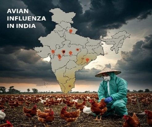 https://www.poultryindia.co.in/media/resilent-sector.jpg